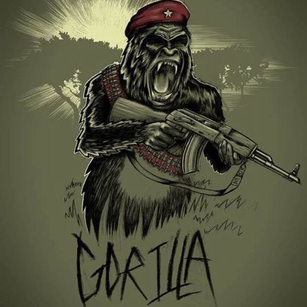 Meet your Posher, Jared